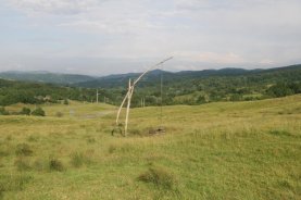 268283_10150286208491096_1465865_n